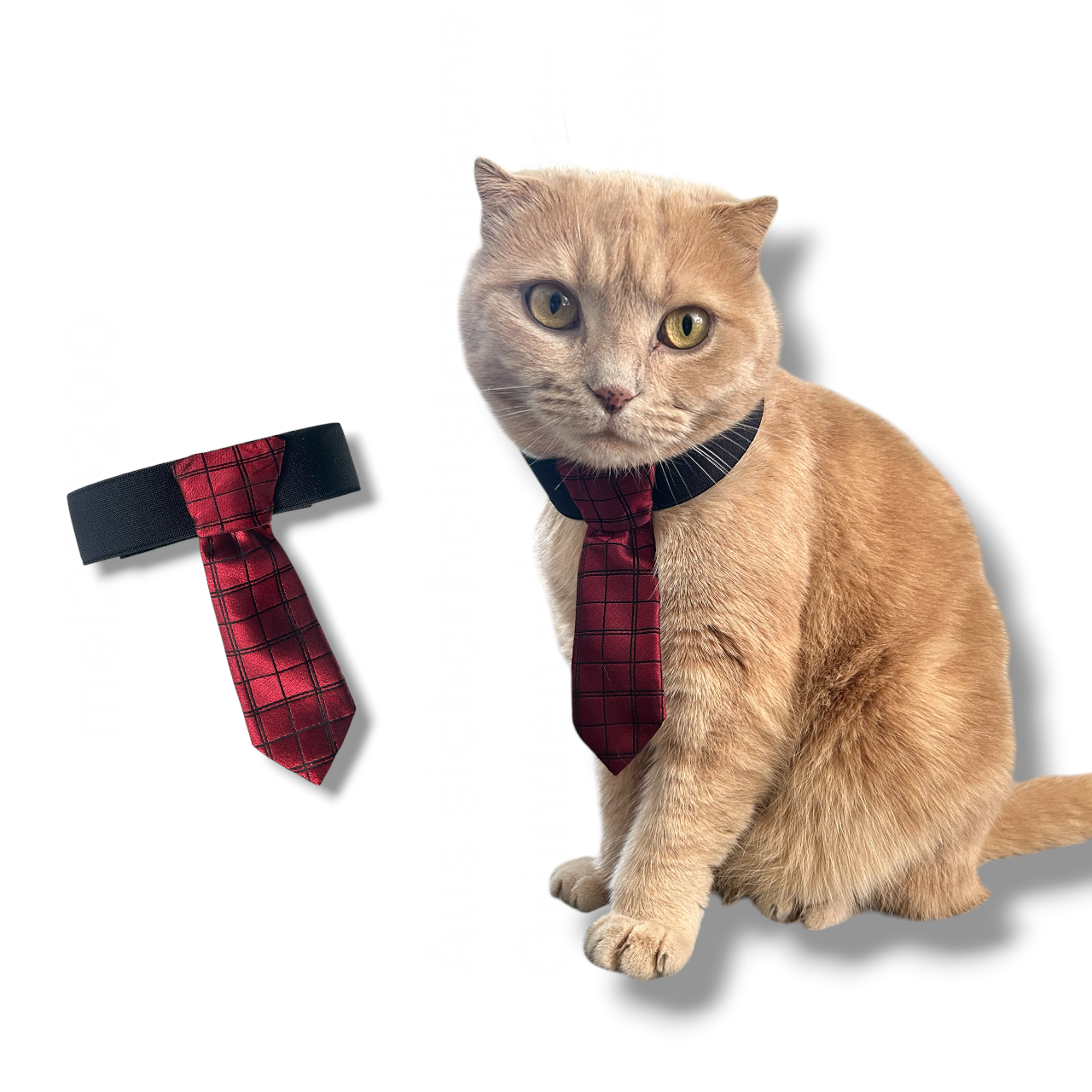 UPCYCLED PET TIE
