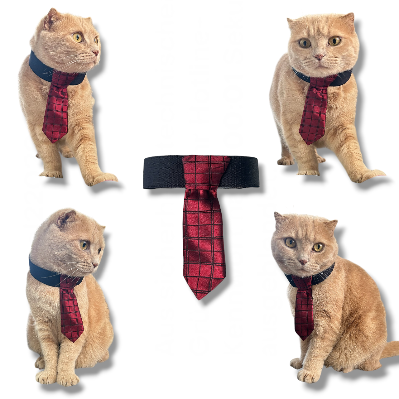 UPCYCLED PET TIE