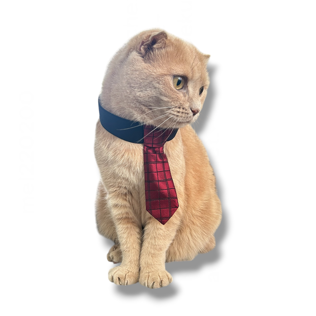 UPCYCLED PET TIE